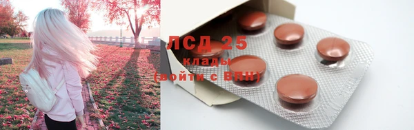 винт Арсеньев