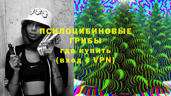 винт Арсеньев