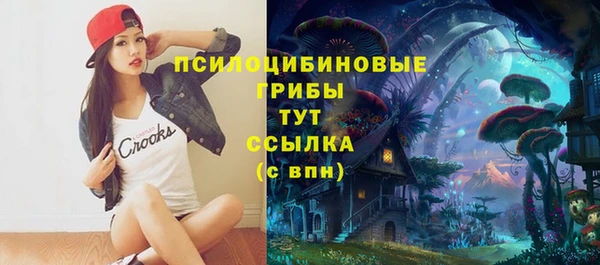 МДПВ Аркадак